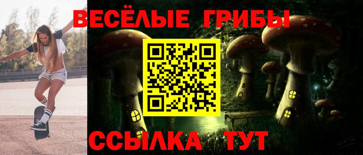 Казань  где купить   Галлюциногенные грибы GOLDEN TEACHER  Вход с VPN  Псилоцибиновые грибы мухоморы 